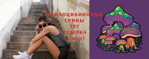 МДПВ Нягань