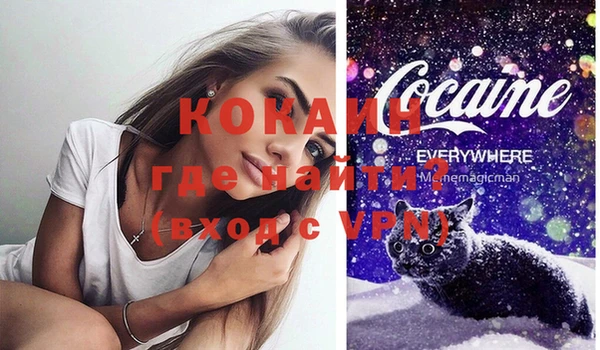apvp Няндома